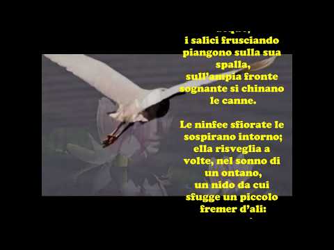 Arthur Rimbaud: OFELIA - Le videopoesie di Gianni Caputo