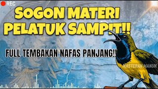 Download lagu 🔴 MASTERAN SOGON MATERI PELATUK SAMPIT!! 🔥 PEMANCING GACOR PALING JITU!! #sogon #sogongacor mp3 Download lagu 🔴 MASTERAN SOGON MATERI PELATUK SAMPIT!! 🔥 PEMANCING GACOR PALING JITU!! #sogon #sogongacor mp3