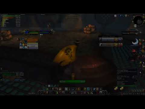 NF Feral druid 2v2, 2.5k exp - WoW: Shadowlands 9.2.5