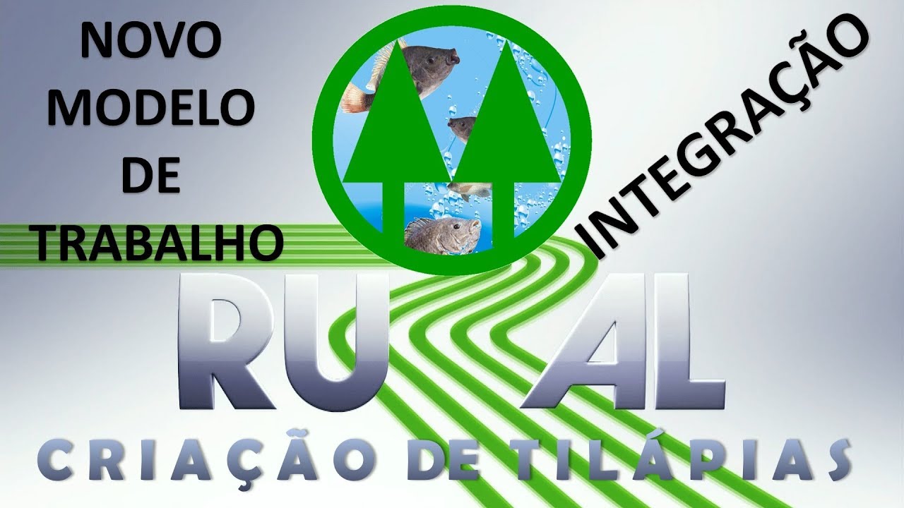 Criadores de Tilápias Mudaram o Modelo de Cultivo de Tilápias