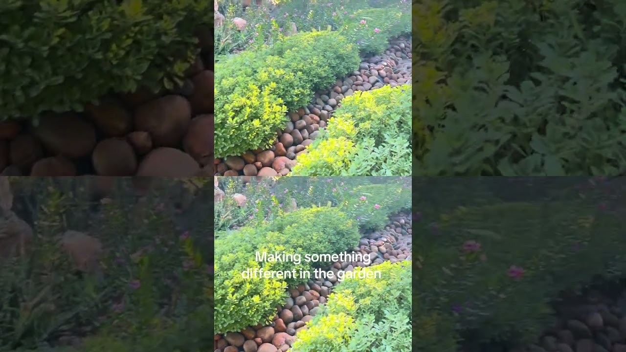 Beautiful Sunday morning in the garden #nature