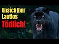 Black Panther The Most Mysterious Predator In The World