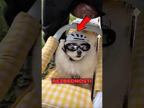 Mesto samo za njega❤️