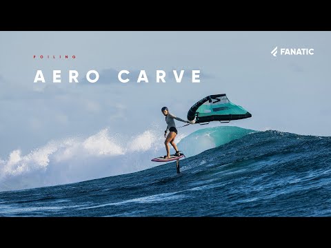 Fanatic Aero Carve Wings 2022