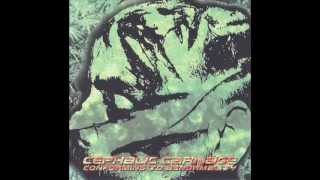 Cephalic Carnage - Jihad