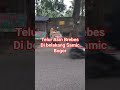 Telur Asin Jonggol