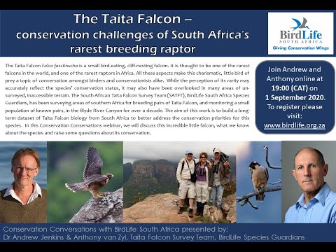 Conservation Conversations: Taita Falcons - Dr Andrew Jenkins & Anthony van Zyl (1 Sept 2020)