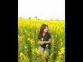 ขีดอันตราย ออย แสงศิลป์ COVER By Aphinya Kaewkanha
