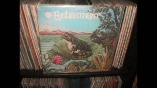 ENCHANTMENT...dance to the music