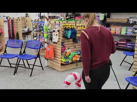 Ruff Pup Dog Training video.