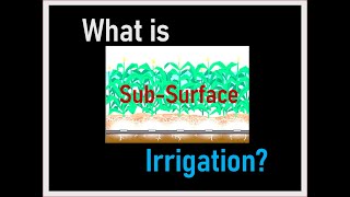 Subsurface Irrigation Method