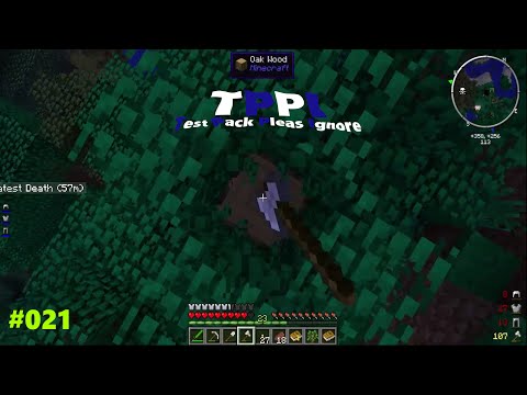 Lets Play Minecraft Test Pack Please Ignore [TPPI] [Full HD] [German] 021