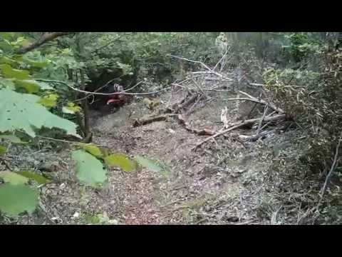 Tracé de l'endurance de Bas en Basset 2015