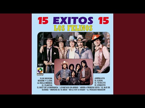 download lagu mp3 mp4 Flor Morena Los Felinos Letra, download lagu Flor Morena Los Felinos Letra gratis, unduh video klip Flor Morena Los Felinos Letra