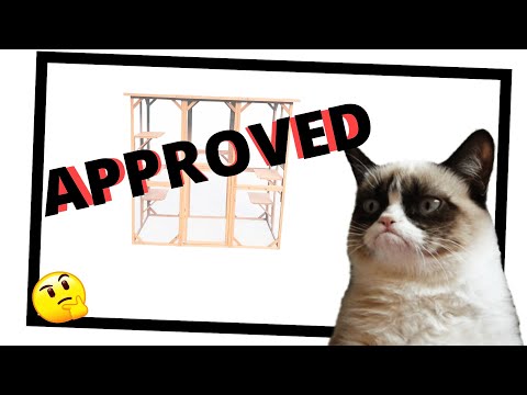 🟡3+1 Outdoor Cat Houses for MULTIPLE CATS✅ [LOOK it NOW]