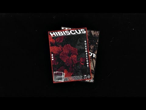 (FREE DL) Guitar Trap Loop Kit - Hibiscus (Iann Dior, Nick Mira, Juice Wrld) Type Loops | Prod BS