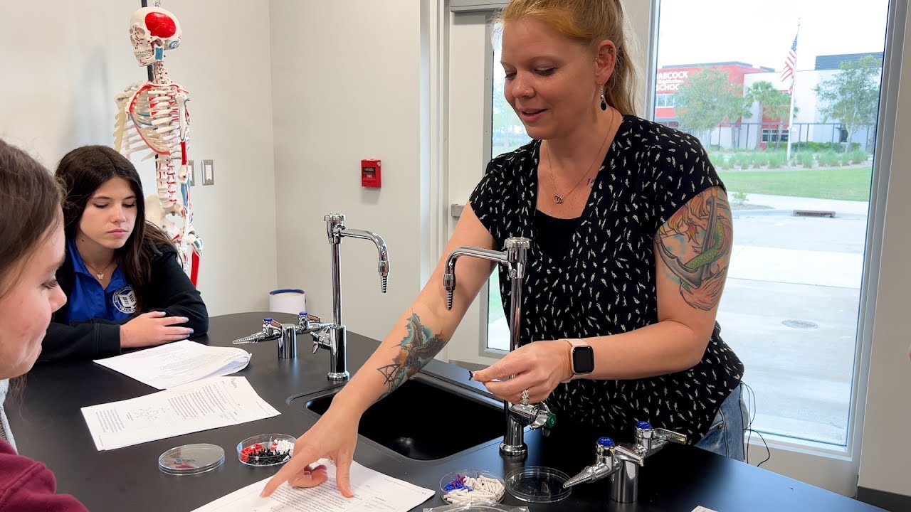 Being a Teacher at Babcock Schools - Babcock Neighborhood School & Babcock High School