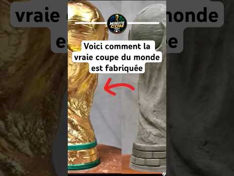 #football #coupedumonde #footballfrance