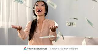 VNG Energy Efficiency Program