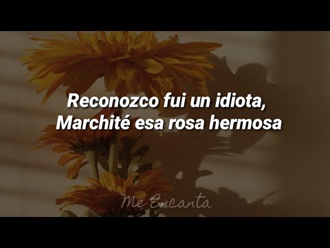 Miniatura de El Idiota