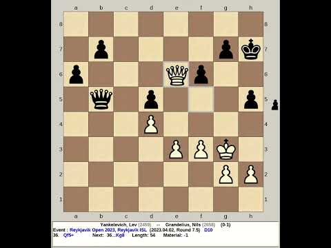 Yankelevich, Lev vs Grandelius, Nils | Reykjavik Chess Open 2023, Iceland