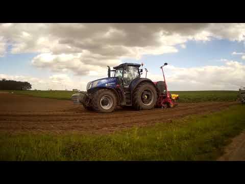Siew buraków cukrowych 2021 -UR Green Farm Wyrodek-NewHolland Vaderstad