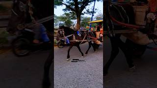 Download lagu naik delman istimewahh #shorts #shortvideo #kudakeren #cover #ojodibandingke #music mp3 Download lagu naik delman istimewahh #shorts #shortvideo #kudakeren #cover #ojodibandingke #music mp3