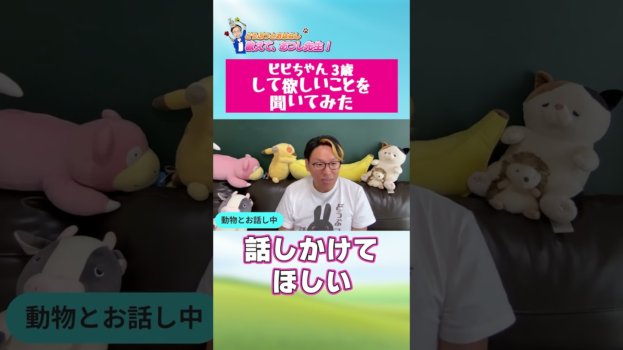 ビビちゃん3歳して欲しいこと