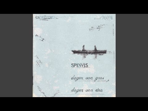 De zevende nacht - Spinvis