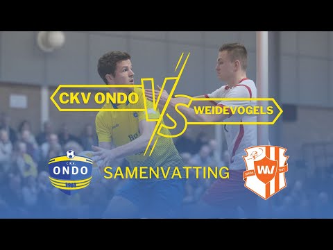 Samenvatting Weidevogels - ckv ONDO (G)