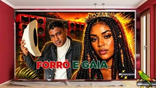 FORRÓ & GAIA -VOCE VAI PAGAR- 🤸🏻🕺🏻💃🏻#mariolenner (-SambãoDeRoda--)