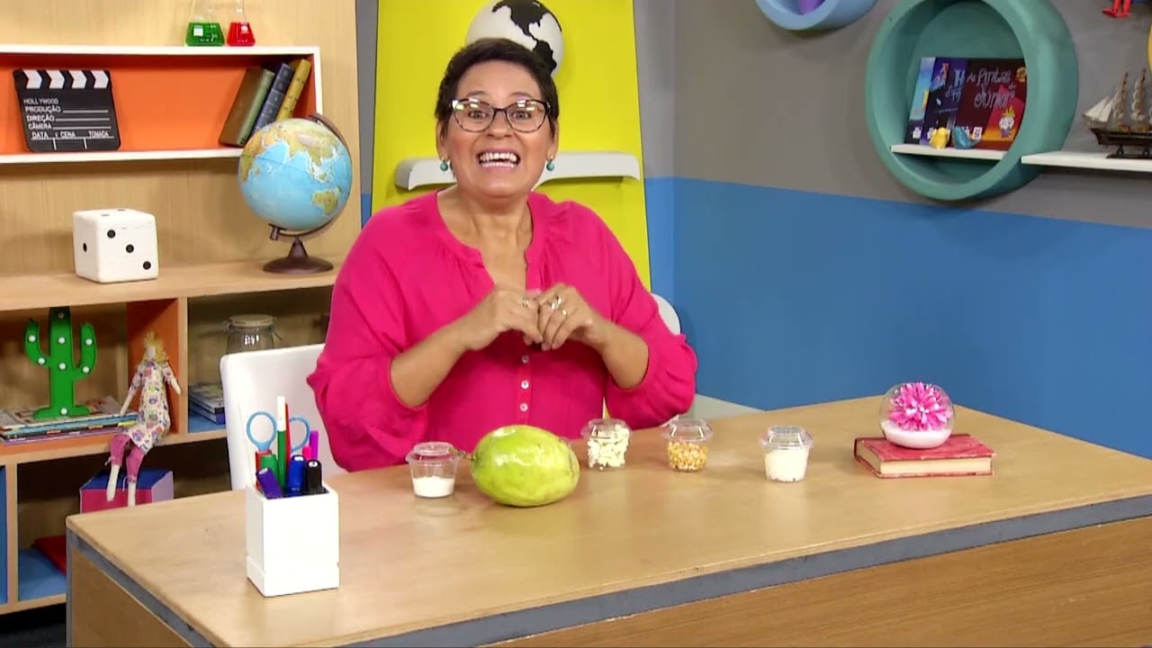 Reversível x Irreversível II  | Rioeduca na TV – Fique ligado! - 4º Ano