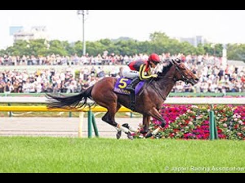 Yushun Himba (Japanese Oaks) G1 - 2023