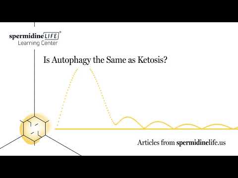 What is the Difference Between Autophagy and Ketosis? | Is Autophagy the Same as Ketosis? |