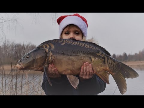 DUŻA ŚWIĄTECZNA AKCJA "UWOLNIJ KARPIA" | 2018