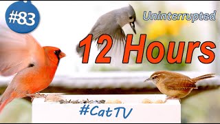 Cat TV 😻12 Hours of Birds 🐦 Uninterrupted Nature Video for Cats