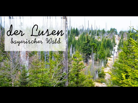 Der Lusen - der sechsthöchste Berg im bayerischen Wald