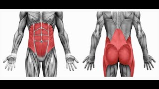 Core Strengthening For Lower back