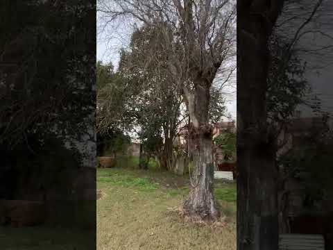 Galpón en venta en Carmen de Areco.