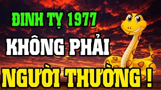 Tuổi Đinh Tỵ 1977 Vì Căn Nghiệp, Nhưng Trời Định Đại Phúc Khi Xuất Hiện 8 Dấu Hiệu Này