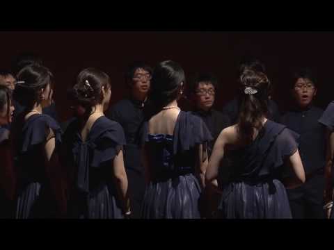 Sicut lilium inter spinas (Giovanni Pierluigi da Palestrina, scatola di voce)