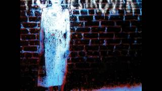 Pig Destroyer "The Bug"