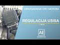 Senzori Leptira Gasa I Regulatori Zagrevanja I Praznog Hoda