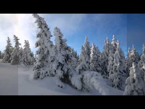 Mike Schmid.  Angels We Have Heard On High