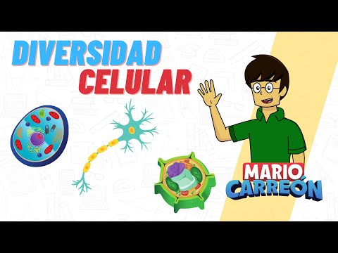 Diversidad Celular