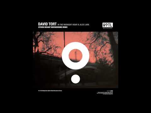 David Tort ft. Alex Lark - In The Midnight Hour (Steven Redant Mucho Drums Remix) [HoTL Records]