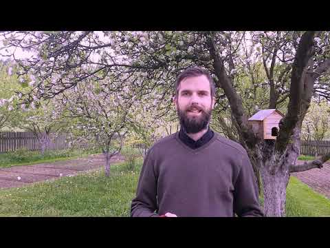 ...S BOŽÍM SLOVOM (3) - Svedectvo svätých