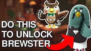 How to trigger Blathers to UNLOCK Brewster - Animal Crossing New Horizons