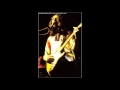 Maui (Palm Trees) - Steve Hillage