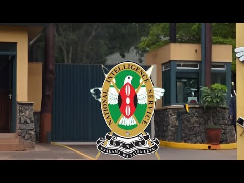 Kenyan Intelligence Agency behind abductions of over 30 protesters